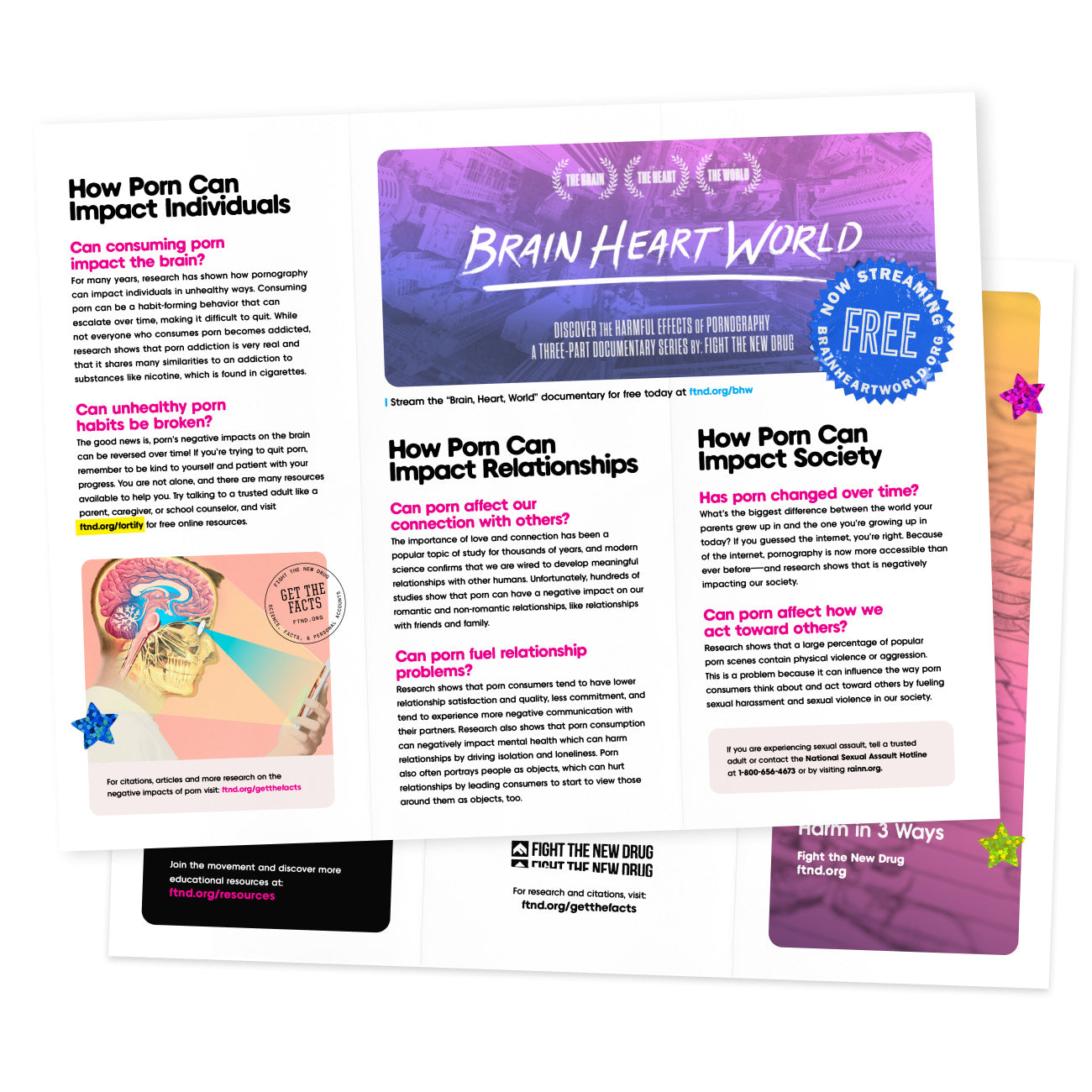 Brain Heart World Brochure - Digital